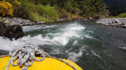 Rafting on the Tongariro River, while looking for whio blue ducks