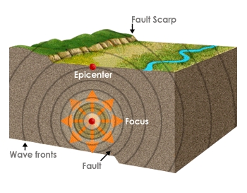 The place where a fault breaks causing an earthquake is called the focus or hypocentre, and the point directly above is called the epicentre.