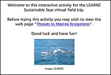 Threats to Marine Ecosystems activity