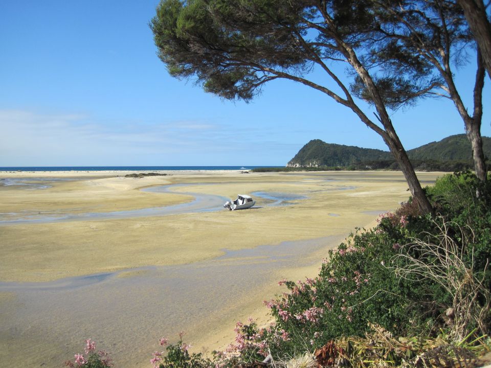 Estuaries are areas where fresh and saltwater mix at the coast. Image: LEARNZ.