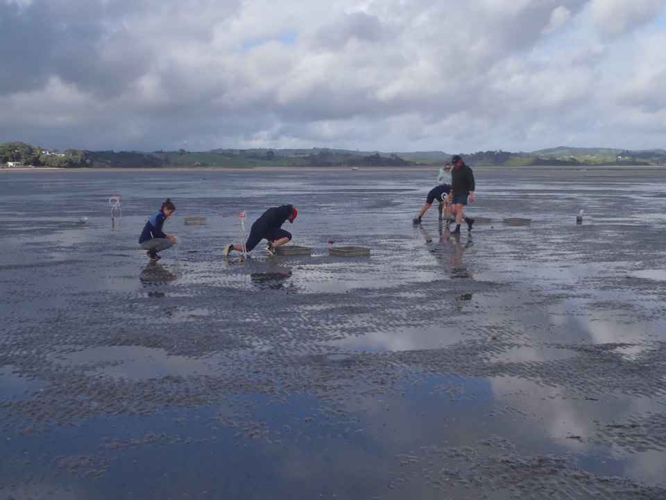 Some scientists from the National Sustainable Seas Challenge monitor an estuary as part of their research into coastal ecosystems and tipping points. Image: Sustainable Seas.