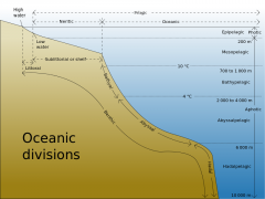 Layers in the Oceans