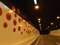 Poppies in the Arras Tunnel. Image: NZTA.