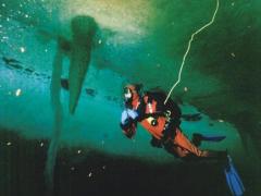 All divers are tethered to the surface during a dive below the sea ice for both safety and communication reasons.