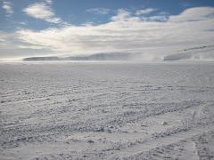 Sea ice provides a unique ecosystem for marine plants and animals below the ice.