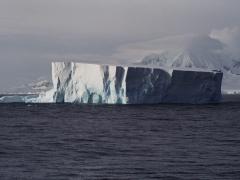 Icebergs break off the edges of ice shelves and so are made of fresh water. Icebergs move with the wind and ocean currents.