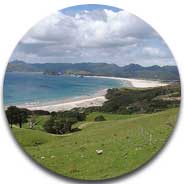 Great Barrier Island