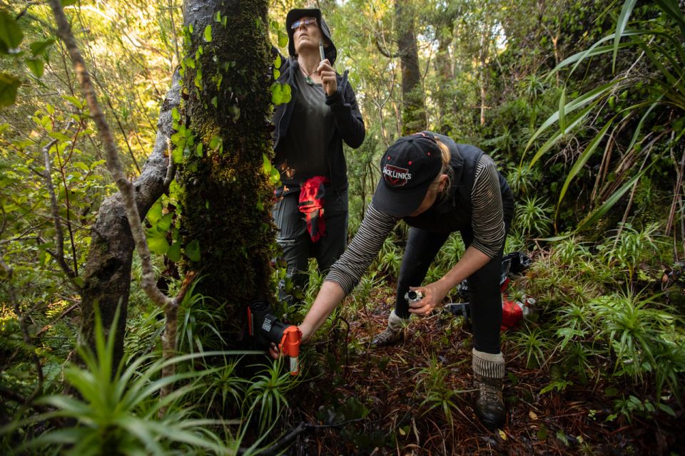 Checking and re-setting traps is an important part of controlling predators and restoring an ecosystem. Image: National Parks and Conservation Foundation.