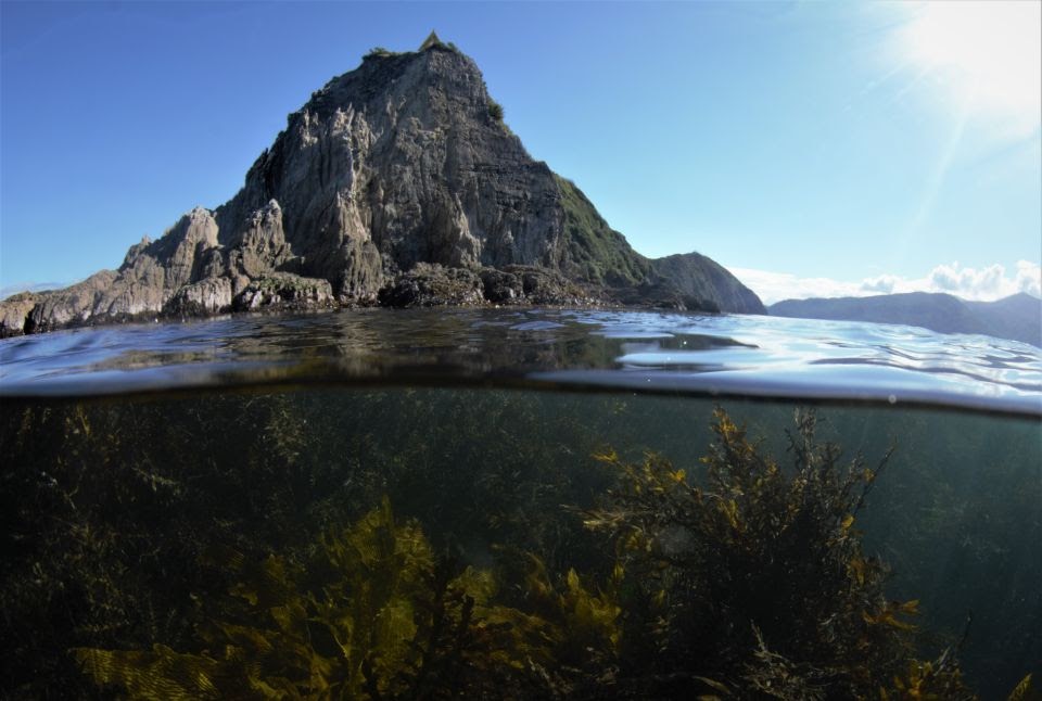 Image source: Marlborough Sounds © Leigh Tait – NIWA, NZ.