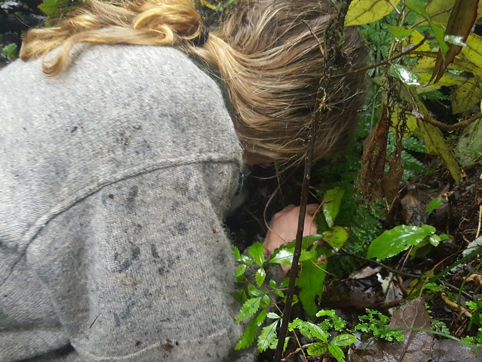 Jenny reaches into the burrow to carefully remove one of the eggs. Image: LEARNZ.