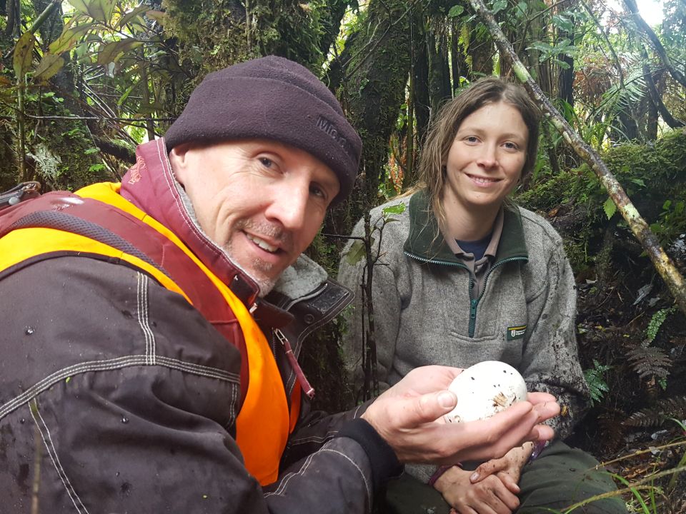 The smile says it all as Andrew carefully holds one of the kiwi eggs. Image: LEARNZ.
