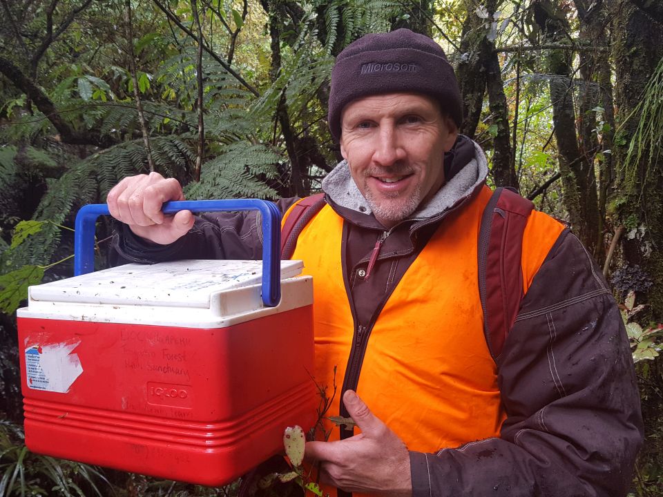 With the egg safely packed in the chilly bin it is time to head to Rainbow Springs Kiwi Encounter. Image: LEARNZ.
