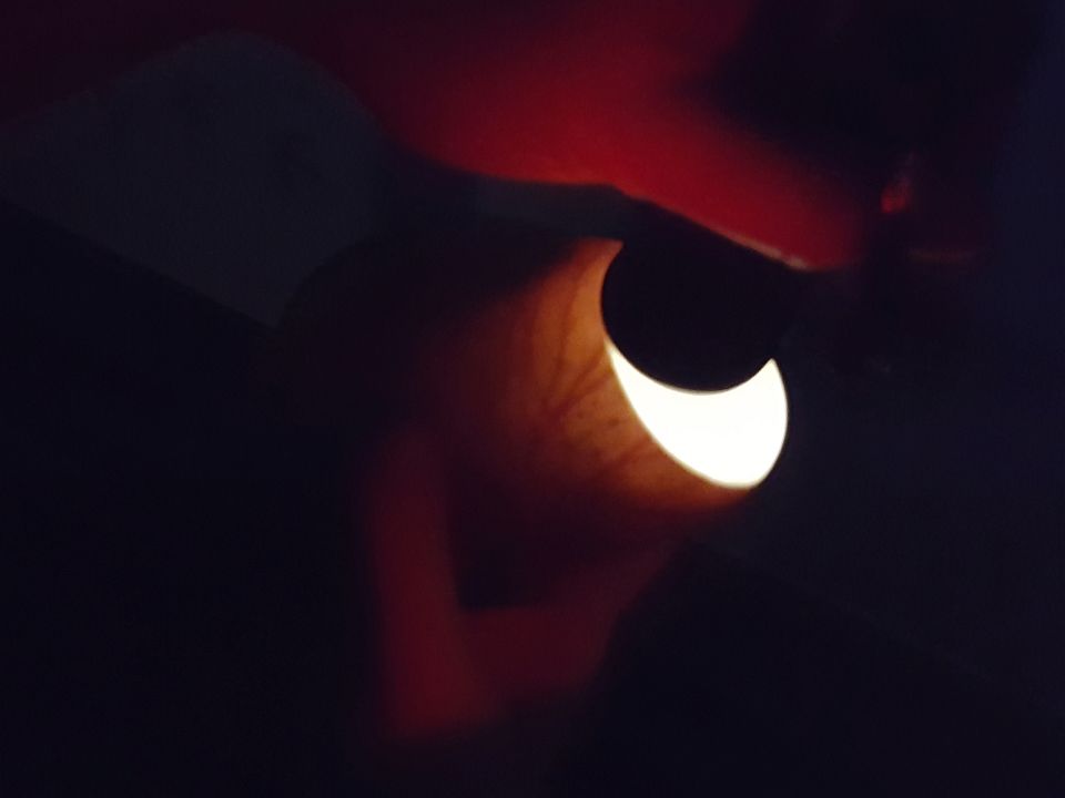 A photo showing the candling process. You can see the air cell and some veins from the embryo. Image: LEARNZ.