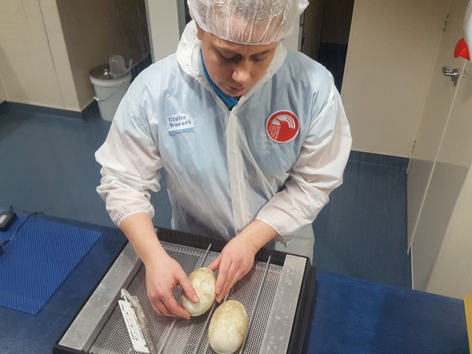 Emma turns the eggs. Why is this such an important task? Image: LEARNZ.