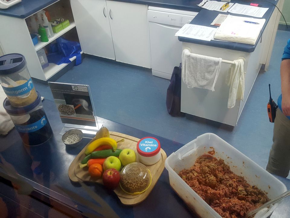 Here you can see the food that is fed to the kiwi chicks. It is a specially formulated diet to maximise growth and health. I wonder how people came up with this diet. Image: LEARNZ.