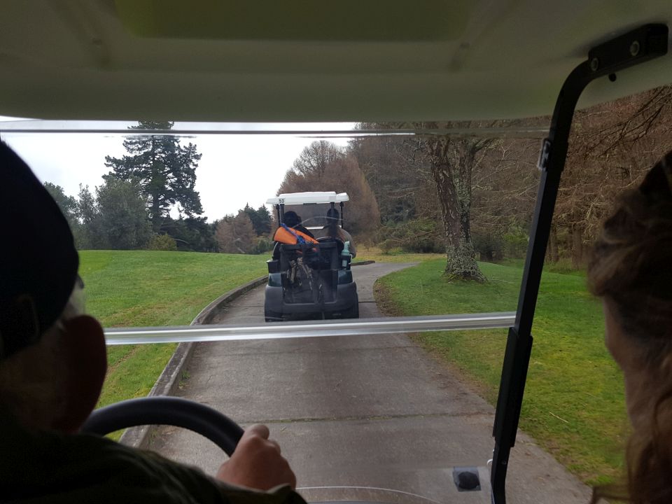 The team head off in golf carts in search of a kiwi. Image: LEARNZ.