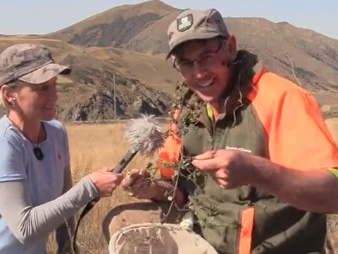 Bioblitz field trip videos.