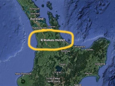 Waikato biodiversity Google Earth.