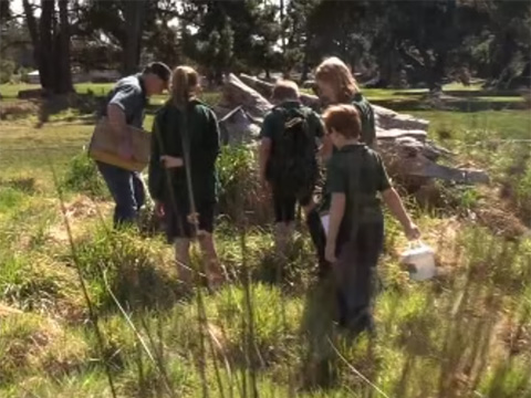 Backyard biodiversity field trip videos