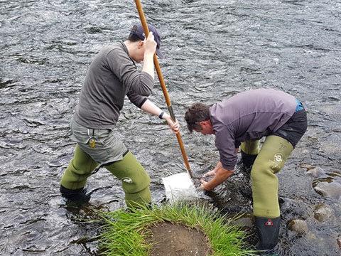 Experts in ecology.