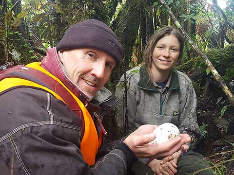 Kiwi field trip videos.
