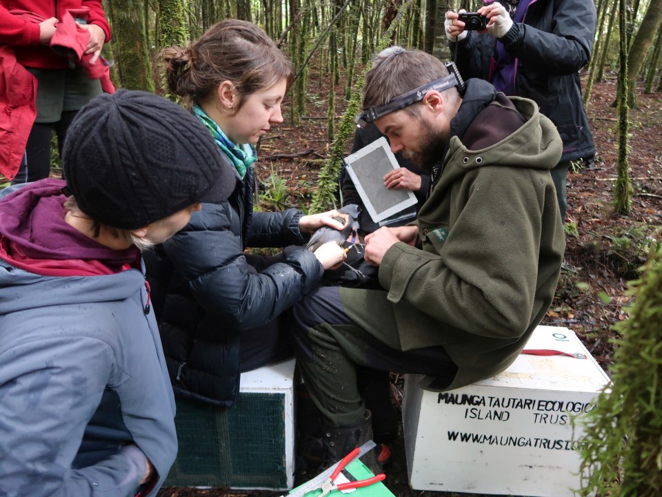 Kōkako experts - Image: LEARNZ.