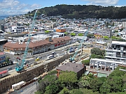 Wellington.