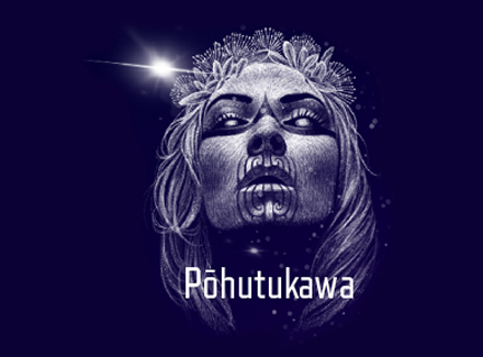 Pōhutukawa star.