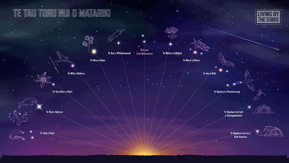 Māori astronomy night sky
