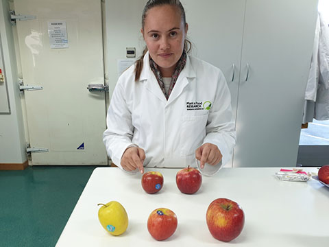 Experts from NZ's pipfruit industry.