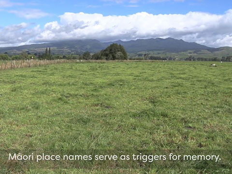 Field trip videos about Our place names: The Maniapoto story.