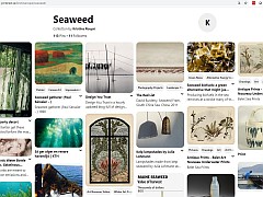 Seaweed challenge ideas. Seaweed challenge ideas.