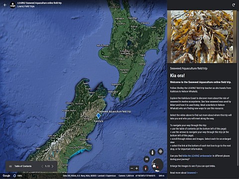 Seaweed Google Earth.