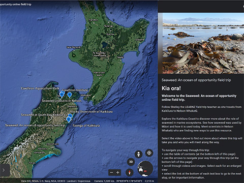 Seaweed Google Earth NZ.