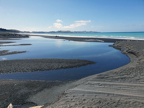 Seaweed challenge ideas.