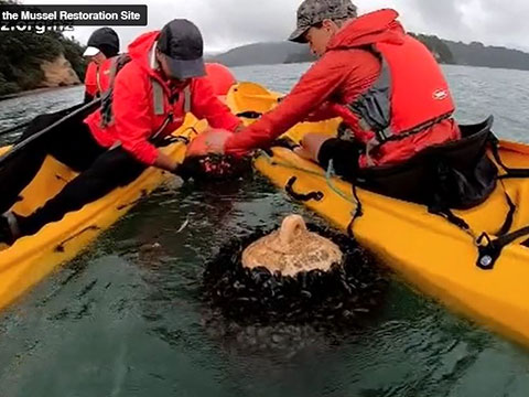 Field trip videos about Ōhiwa harbour