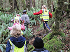 Toitū te whenua - leave no trace.