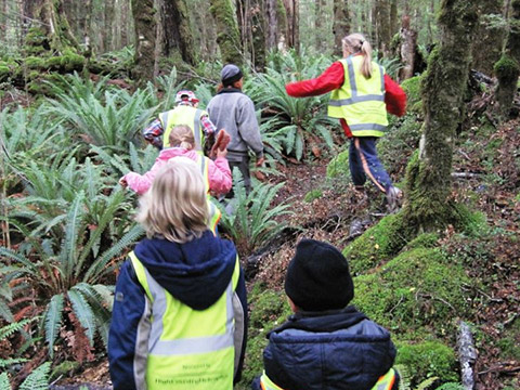 Te Araroa trail