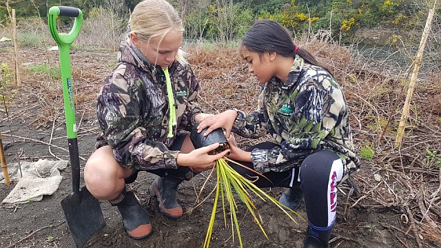 Community planting day.