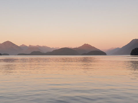 Restoring Tamatea Dusky Sound