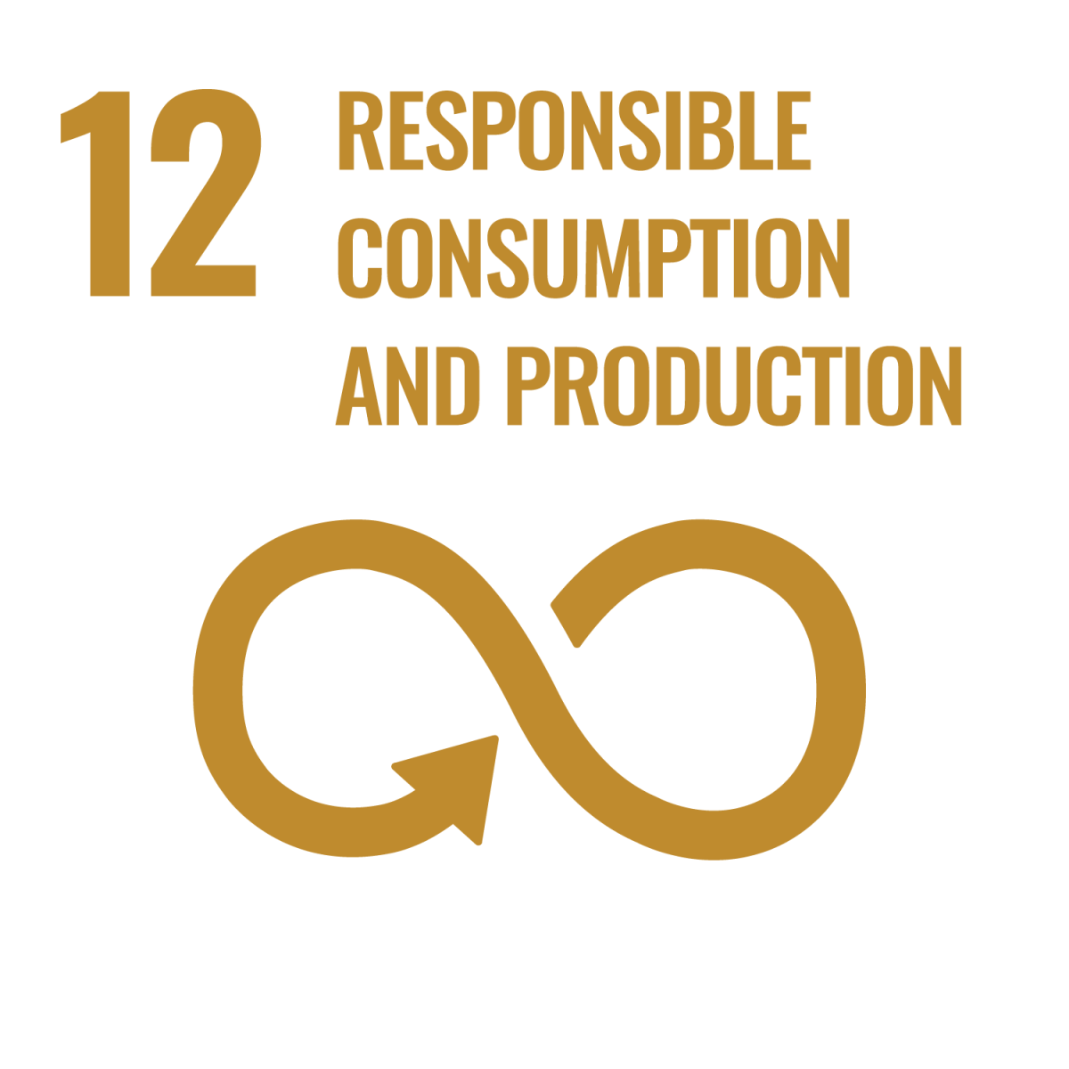 United Nations SDG 12