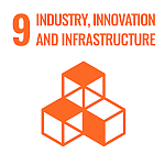 United Nations SDG 9