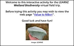 Click to open this interactive activity