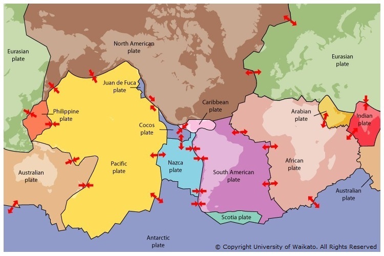 The Earth has six large plates and many smaller ones. Image: University of Waikato https://www.sciencelearn.org.nz 