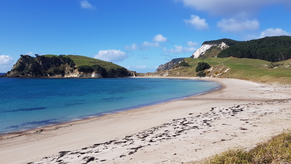 Ahuahu/Great Mercury Island. Image: LEARNZ.