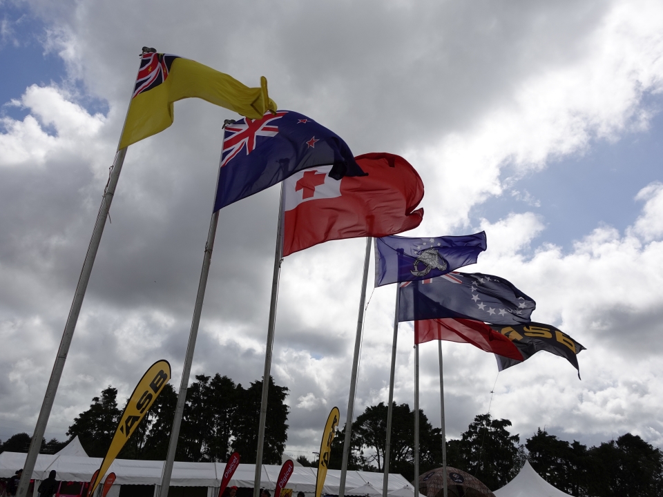 Image: Pacific flags by LEARNZ