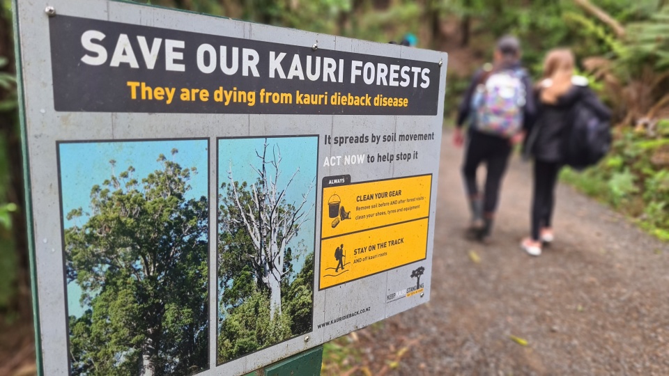 Remember to clean your gear to help stop the spread of kauri dieback. Image: LEARNZ.
