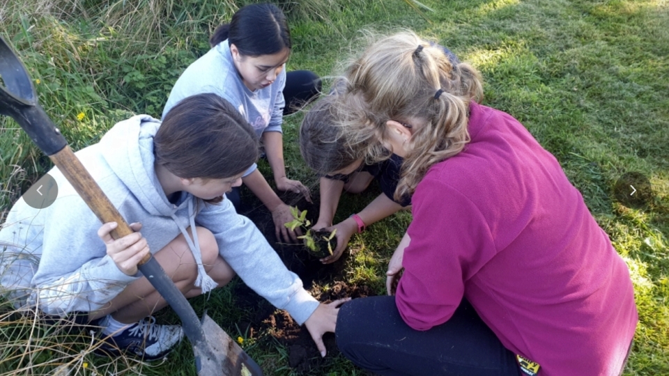 Helping to bring back native plants is good for the environment and a great way to enjoy the outdoors with other people. Image: LEARNZ.
