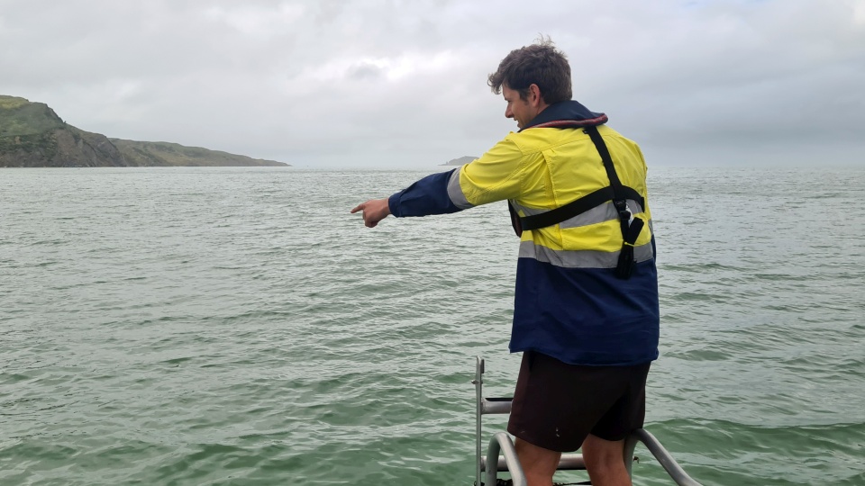 Rian's mahi takes him all over Aotearoa New Zealand and the Pacific. Image: LEARNZ.