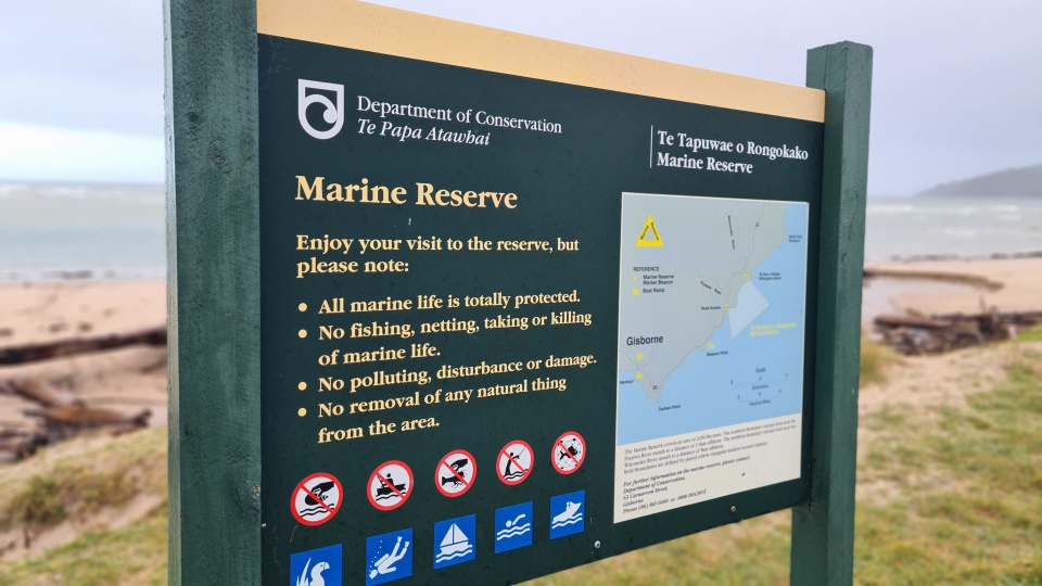 Seabed mapping can show us where the precious parts are. By knowing what's where, we can protect these areas. Image: LEARNZ.